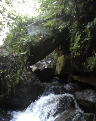 Ravine_Tonton_28729.jpg