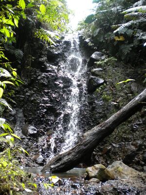 Ravine_au_Foin_28329.jpg